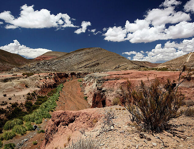 Chile Atacama Bild2