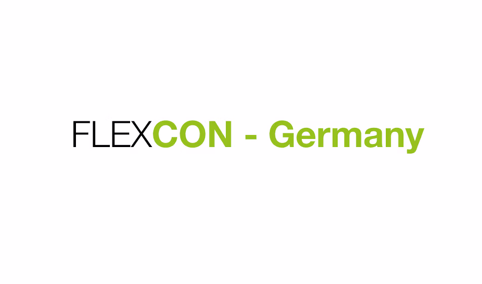 Thumbnail - Referenz Intranet Seiten Flexcon Germany